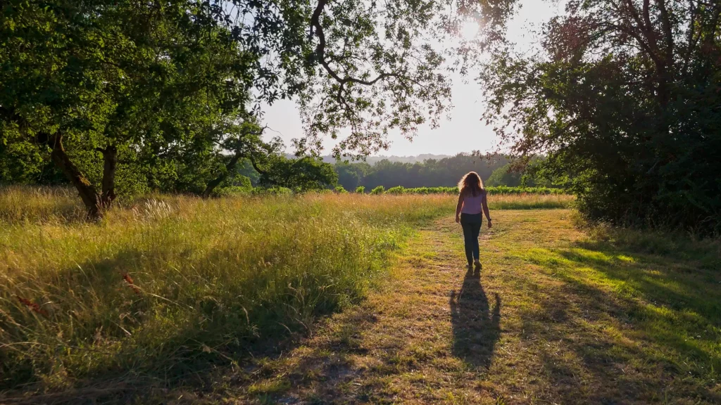 Cécile marchant vers les vignes au coucher du soleil